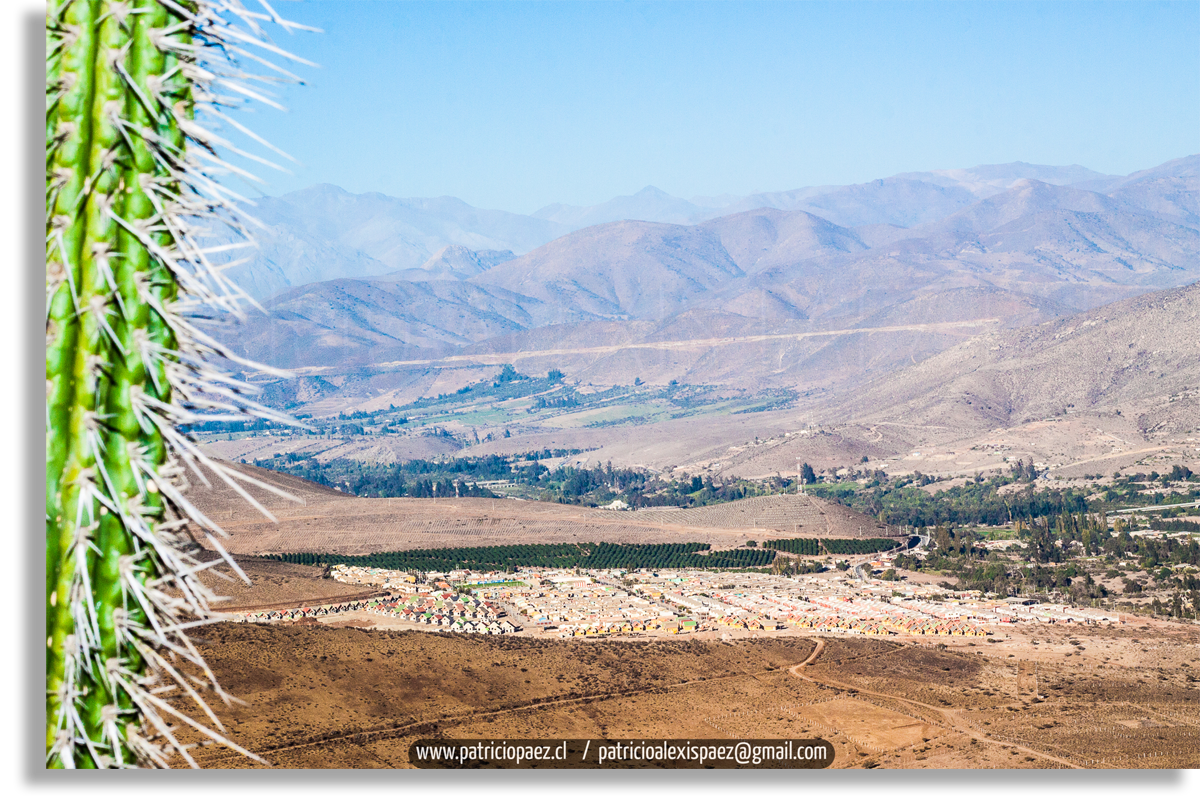 cuz-cuz-illapel-cactus-paisaje-campo-villa-san-rafael-turismo-chile