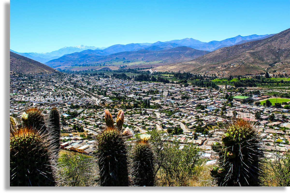 illapel ciudad city chile cactus quisco paisaje 